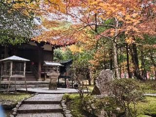 醍醐寺　清瀧宮本殿/拝殿の参拝記録(すみれさん)