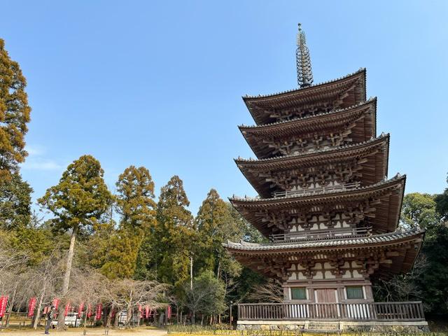 醍醐寺　五重塔の参拝記録(mintoさん)