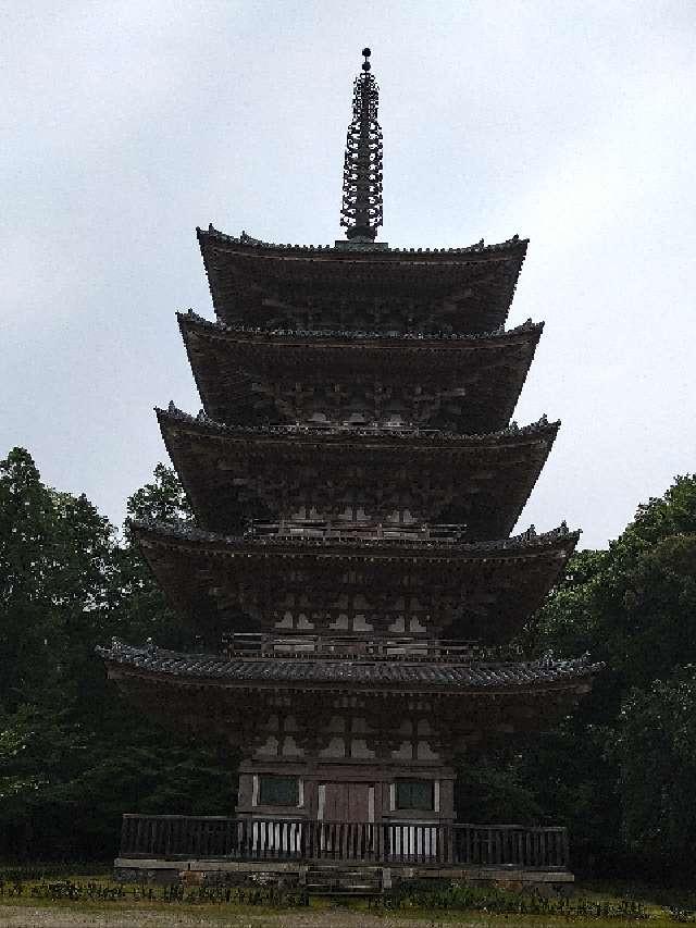 醍醐寺　五重塔の参拝記録(監督まっちゃんさん)