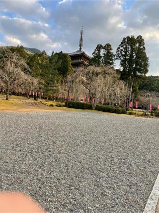 醍醐寺　五重塔の参拝記録(鬼一法眼さん)