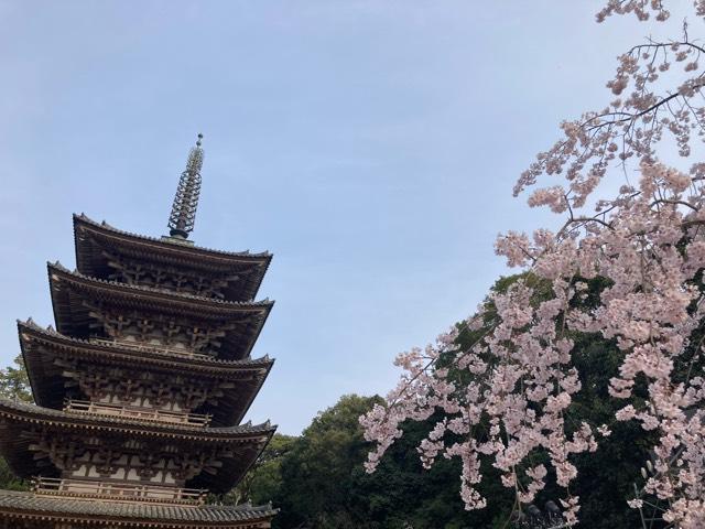 醍醐寺　五重塔の参拝記録3