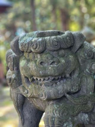 白幡神社の参拝記録(たけちゃ～ん⚾さん)