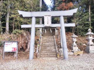 日枝神社の参拝記録(さとみさん)