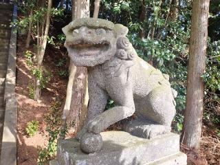 日枝神社の参拝記録(さとみさん)