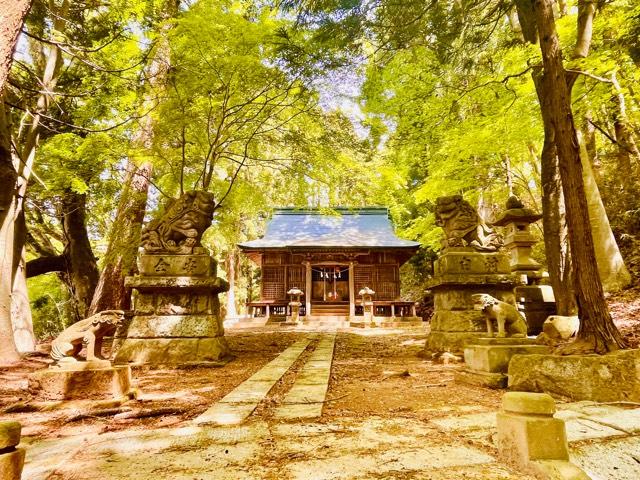 福島県西白河郡泉崎村太田川字熊野山1 熊野神社の写真1