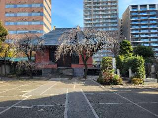 関妙山 善性寺の参拝記録(まっきーさん)