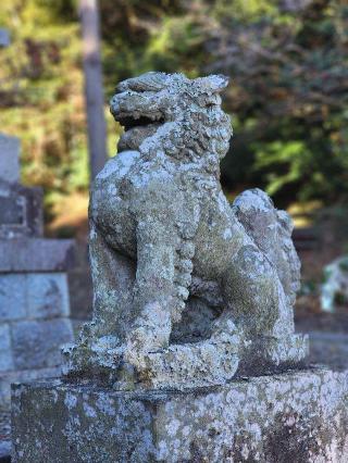 諏訪神社の参拝記録(たけちゃ～ん⚾さん)