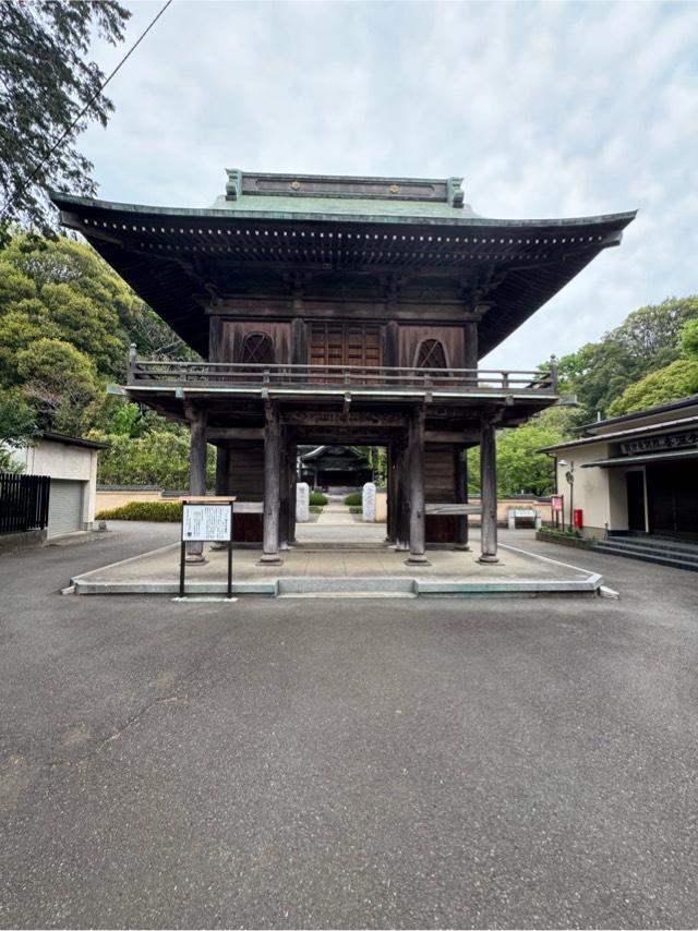 国分寺薬師堂の参拝記録3