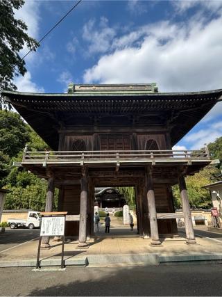 国分寺薬師堂の参拝記録(ぶんじさん)