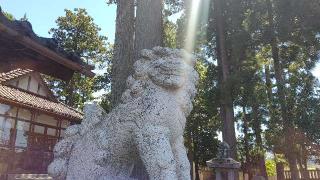 宮路神明宮の参拝記録(miyumikoさん)