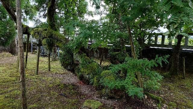 神明社の参拝記録1
