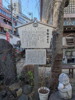 聖輪寺の参拝記録(はくすみさん)