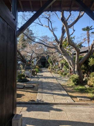 龍巌寺の参拝記録(はくすみさん)