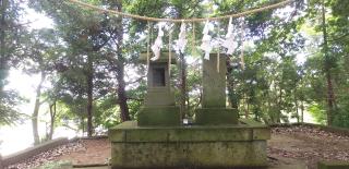 大山阿夫利神社の参拝記録(オサッペさん)