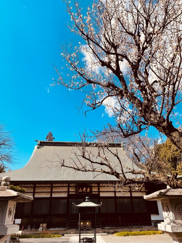龍津寺の参拝記録4