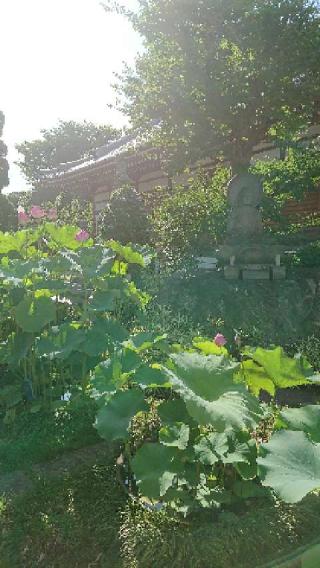 廣福寺の参拝記録(オーロラさん)