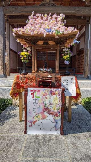 廣福寺の参拝記録(オーロラさん)