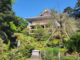 瑠璃山 医王寺 薬王院の参拝記録(まっきーさん)