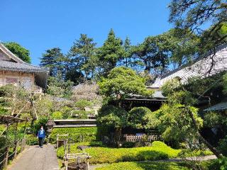 瑠璃山 医王寺 薬王院の参拝記録(まっきーさん)