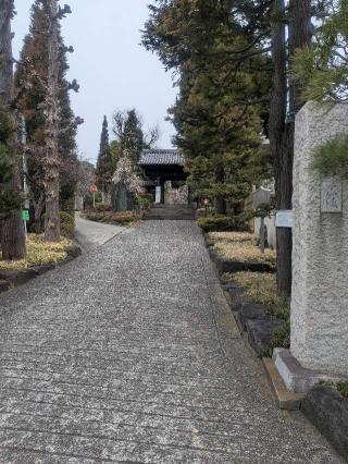 瑠璃山 医王寺 薬王院の参拝記録(はくすみさん)