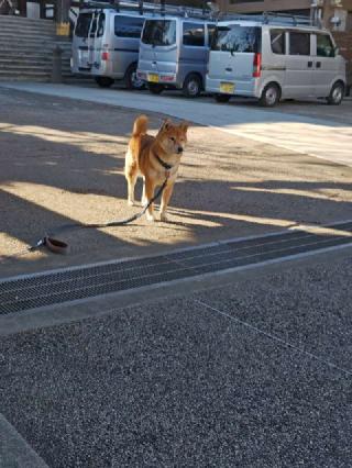 本妙山 感通寺の参拝記録(はじめさん)