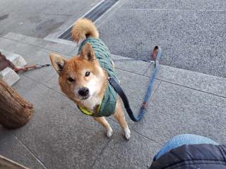 本妙山 感通寺の参拝記録(はじめさん)