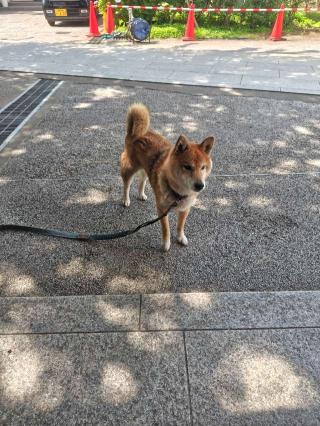 本妙山 感通寺の参拝記録(はじめさん)
