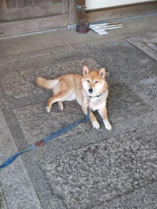 本妙山 感通寺の参拝記録(はじめさん)