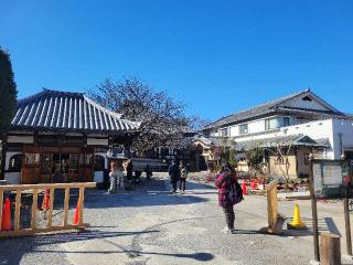 本妙山 感通寺の参拝記録(まっきーさん)