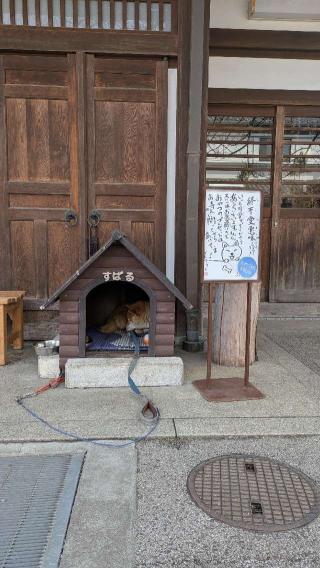 本妙山 感通寺の参拝記録(うにさん)