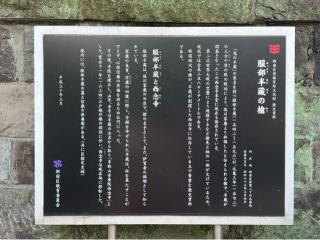 専称山 安養院 西念寺の参拝記録(せーこさん)