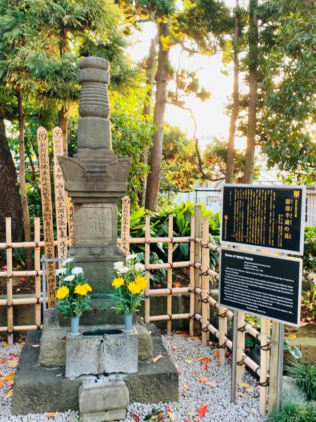 東京都新宿区若葉2-9 専称山 安養院 西念寺の写真2