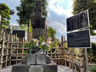 専称山 安養院 西念寺の参拝記録(ことよさん)