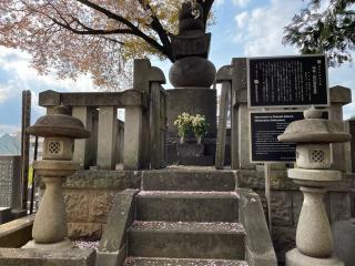 専称山 安養院 西念寺の参拝記録(ことよさん)