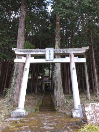 白山神社の参拝記録(yanjuさん)