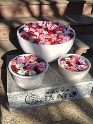 萬年山 法輪寺の参拝記録(はじめさん)