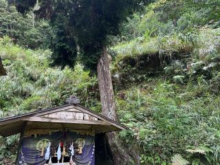 神峯神社の参拝記録(ゆっきーさん)