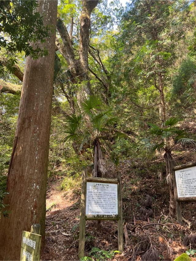 高知県安芸郡安田町唐浜2595 神峯神社の写真7