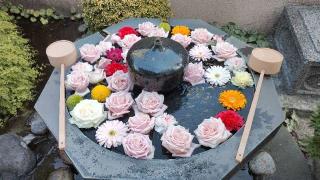 医光山 長寿院 安養寺の参拝記録(伊平太さん)