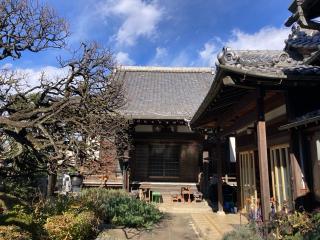 真教寺の参拝記録(バルタさん)