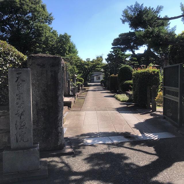 称光山 長延寺 華徳院の参拝記録5