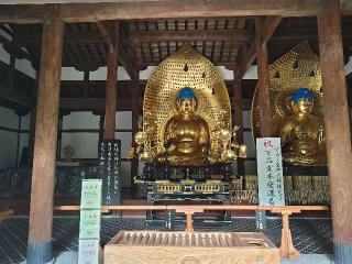 九品山 唯在念佛院 淨眞寺(九品仏 浄真寺)の参拝記録(NTKさん)