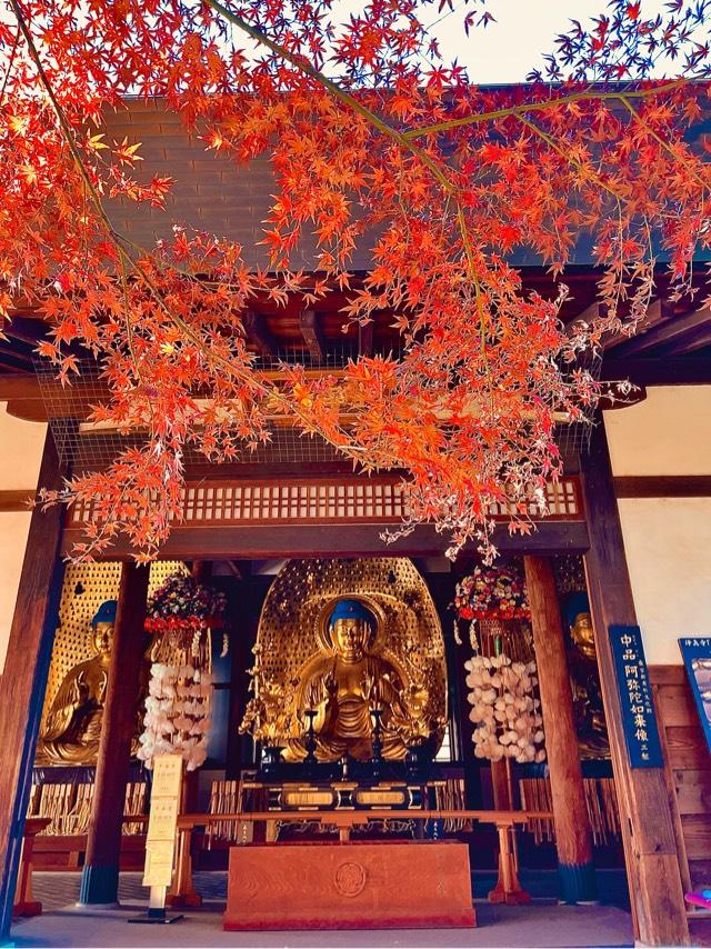 九品山 唯在念佛院 淨眞寺(九品仏 浄真寺)の参拝記録6