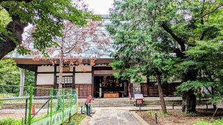 九品山 唯在念佛院 淨眞寺(九品仏 浄真寺)の参拝記録(sshimiさん)