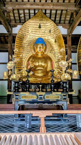 九品山 唯在念佛院 淨眞寺(九品仏 浄真寺)の参拝記録(sshimiさん)