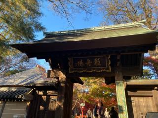 九品山 唯在念佛院 淨眞寺(九品仏 浄真寺)の参拝記録(スエさん)