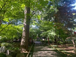 九品山 唯在念佛院 淨眞寺(九品仏 浄真寺)の参拝記録(ハコさんさん)