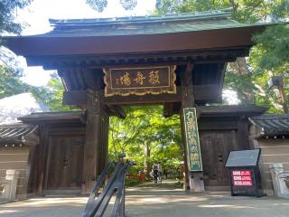 九品山 唯在念佛院 淨眞寺(九品仏 浄真寺)の参拝記録(ハコさんさん)