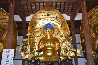 九品山 唯在念佛院 淨眞寺(九品仏 浄真寺)の参拝記録(ユウさん)