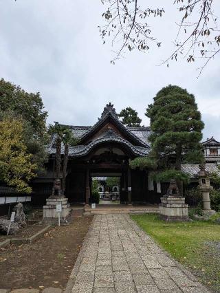 観音寺の参拝記録(はくすみさん)